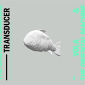 transducer.jpg