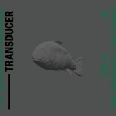 transducer.jpg